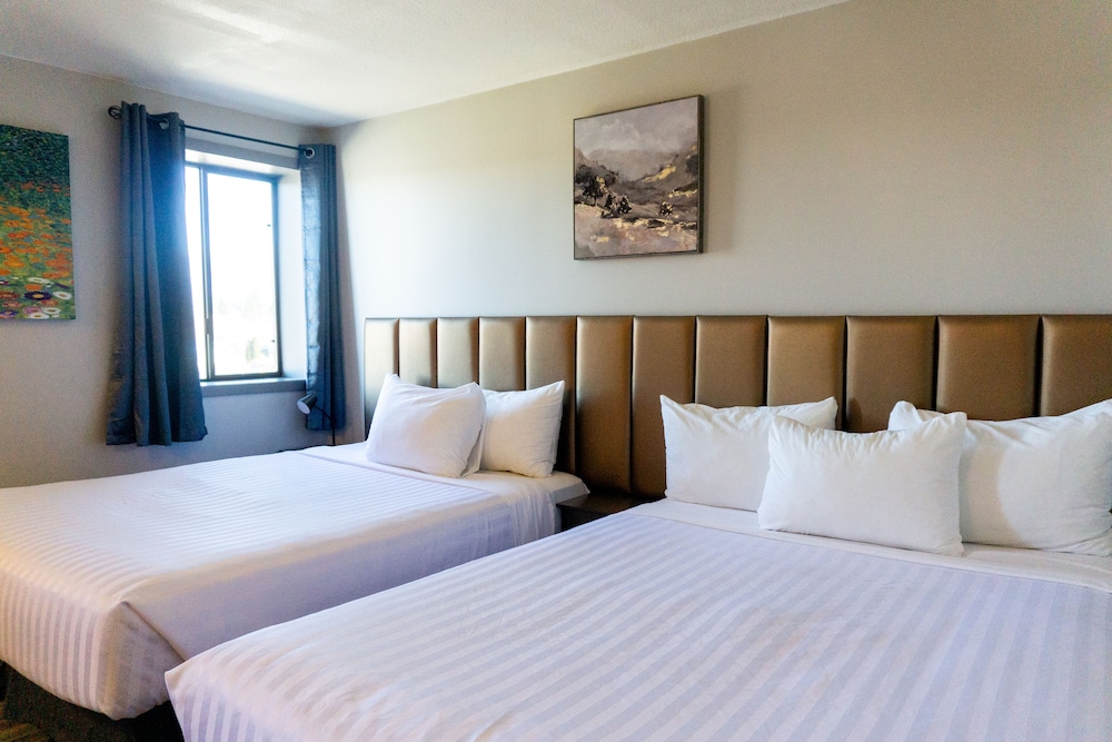 Basic Quadruple Room