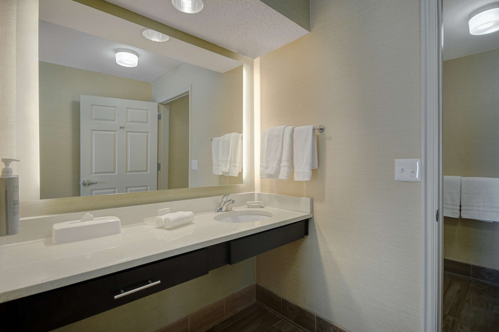 Suite, 1 King Bed, Accessible (Roll-in Shower) photo 3