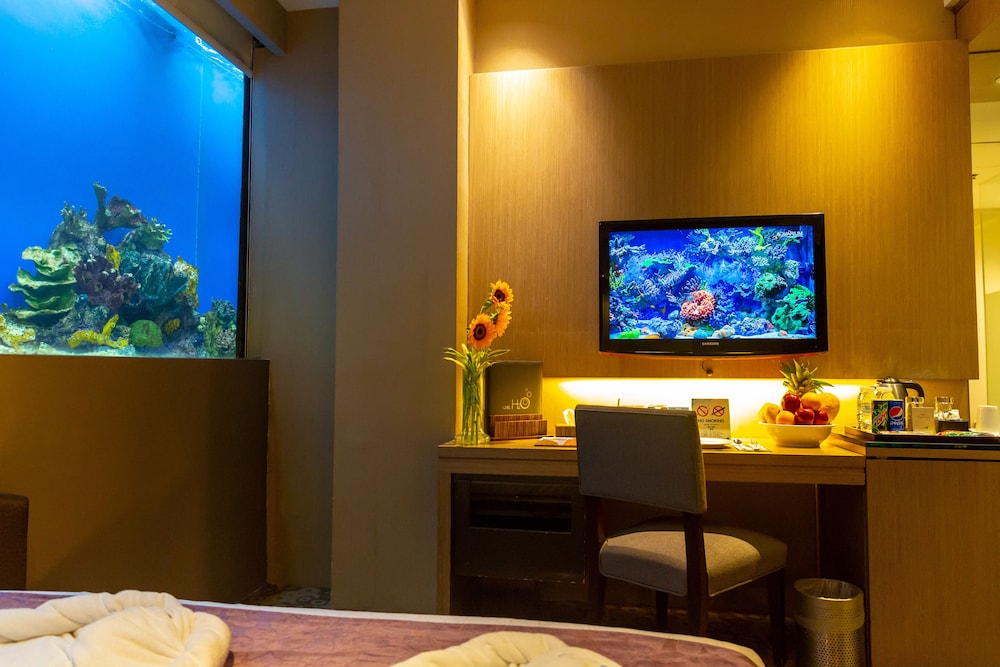 Aqua Room - Photo 8