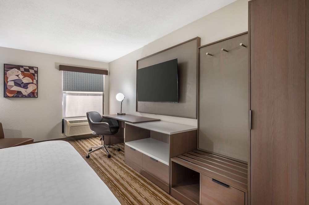 Standard Room, 1 King Bed, Non Smoking, Refrigerator & Microwave photo 2