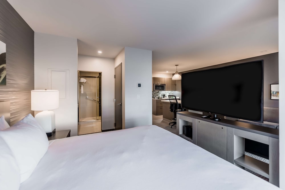 Studio, 1 King Bed with Sofa bed, Kitchen