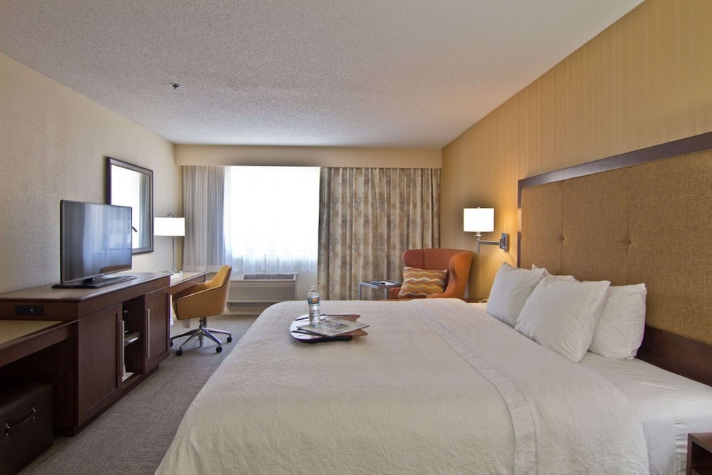 Deluxe Room, 1 King Bed (Shower Only)