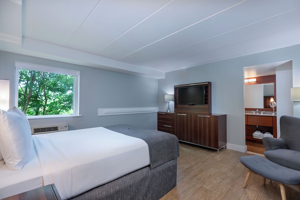 Standard Single Room, 1 Queen Bed
