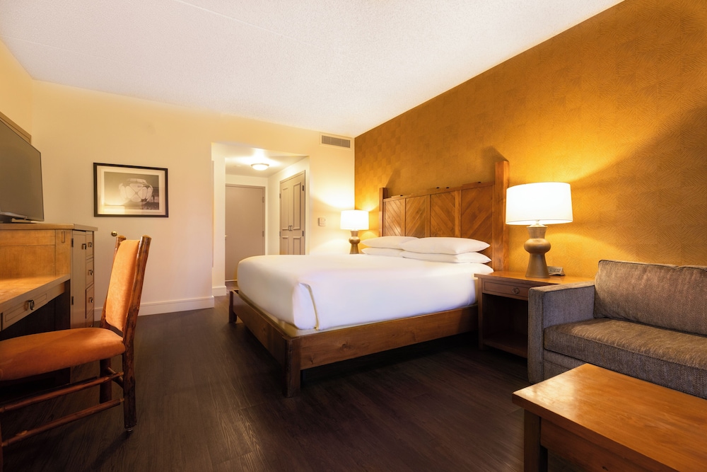 Deluxe Room, 1 King Bed, City View (Deluxe King ADA Tub)