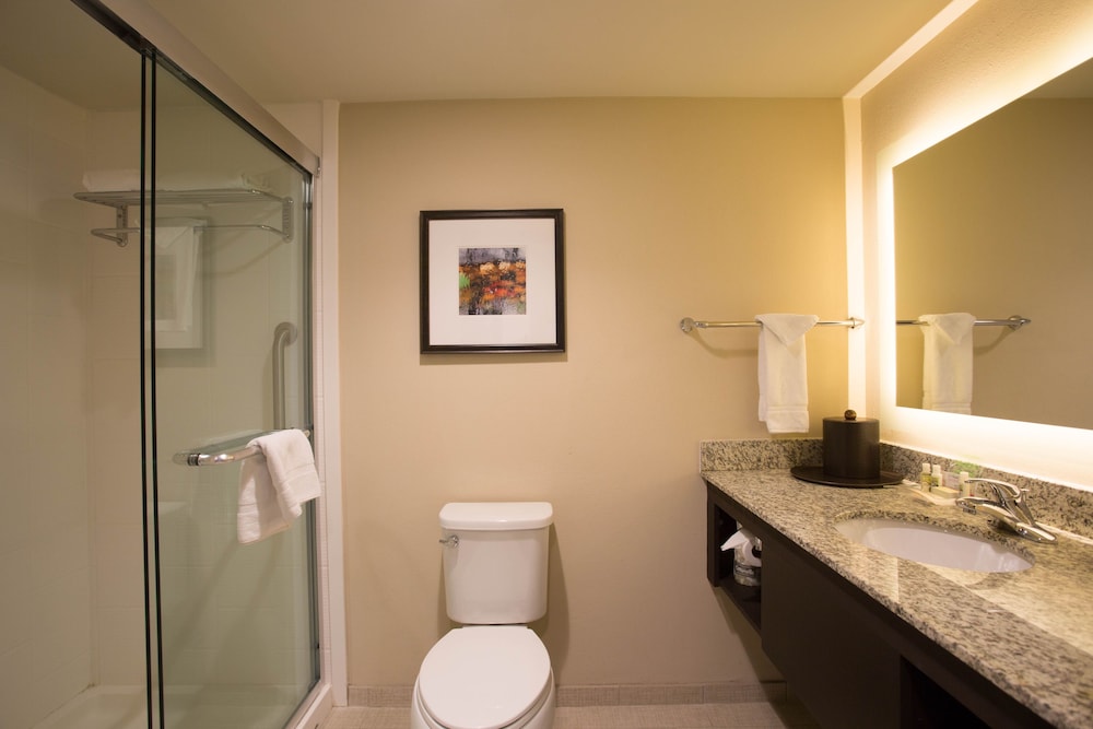Suite, 1 Bedroom photo 3