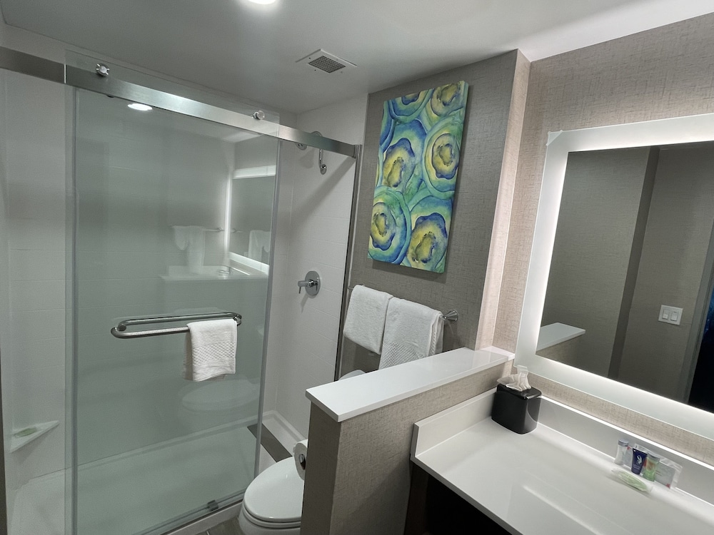 Suite, 1 King Bed, Non Smoking (Efficiency) - Photo 4