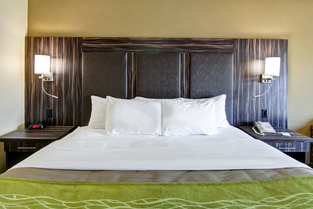Standard Room, 1 King Bed, Non Smoking (No Pets Allowed) - Photo 2