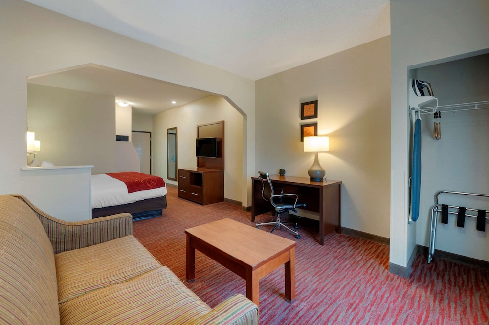 Suite, 1 King Bed with Sofa bed, Accessible, Non Smoking - Photo 1