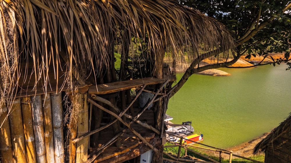 Panoramic Tree House