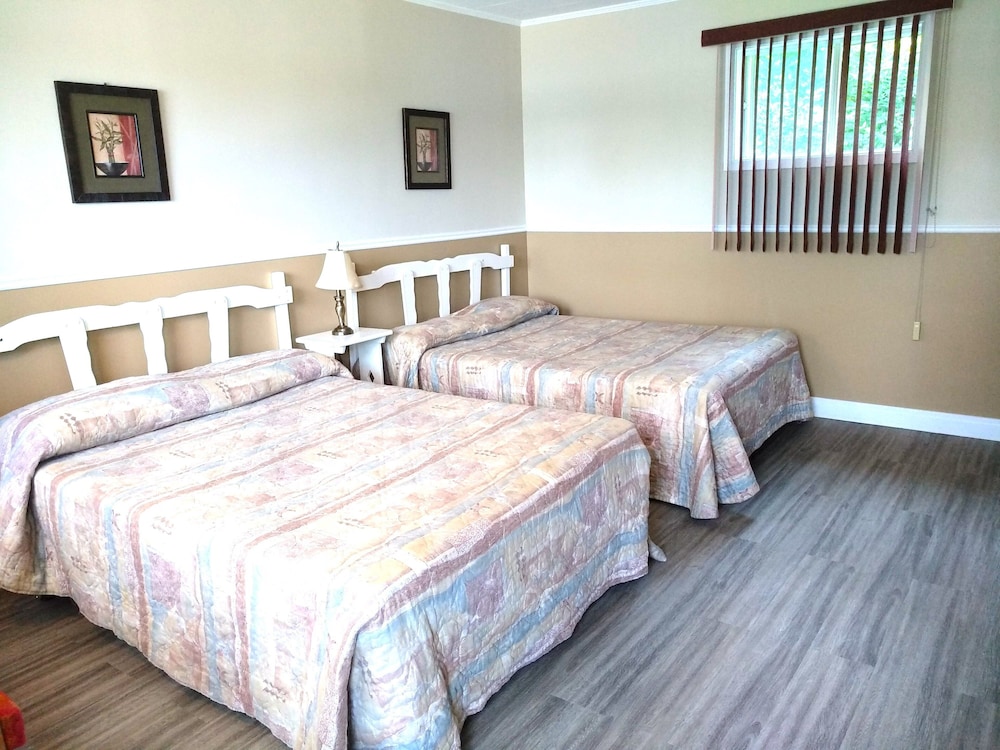 Quadruple Room photo 1