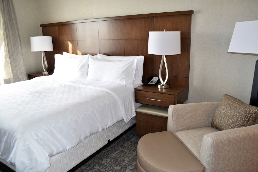 Studio Suite, 1 Queen Bed, Kitchen photo 2