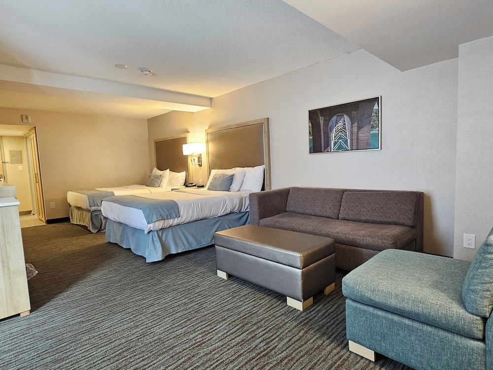 Studio Guest Room, 2 Queen beds & Sofa bed - Photo 3