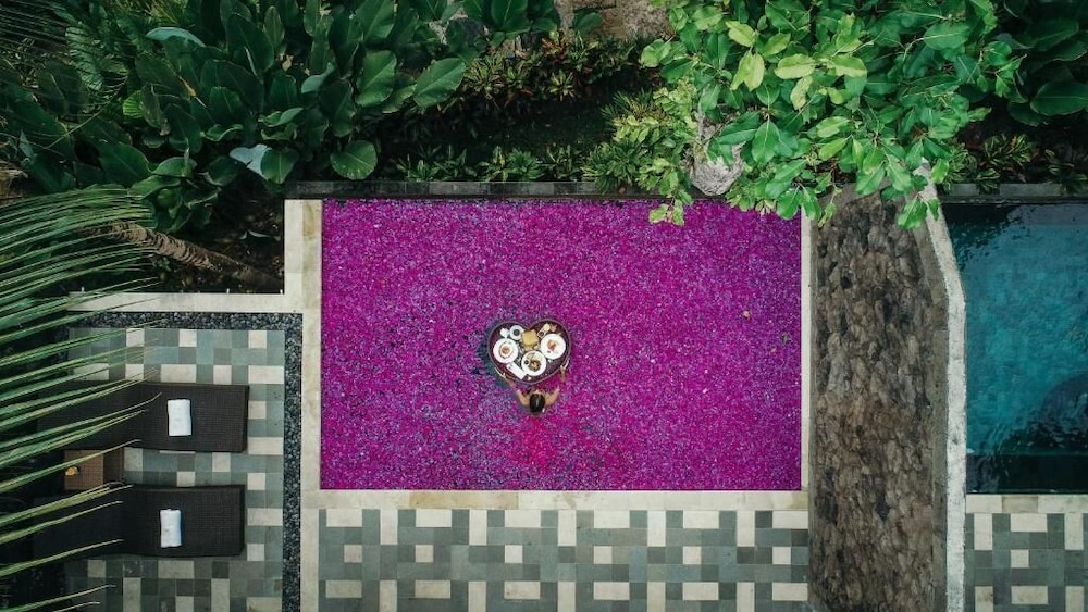 River Pool Villa photo 3