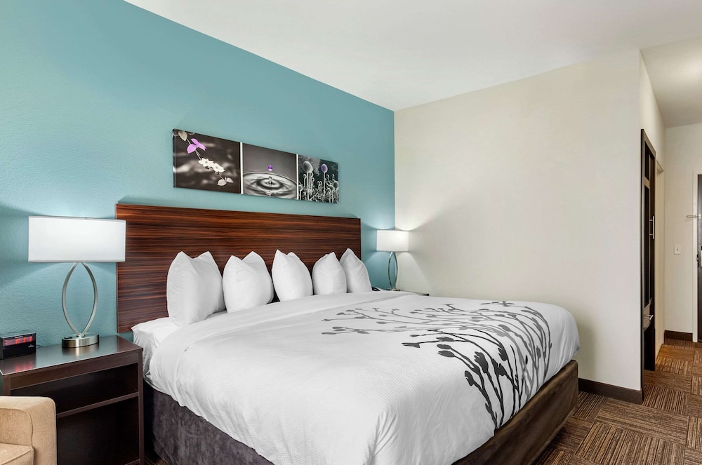 Standard Room, 1 King Bed, Non Smoking - Photo 1
