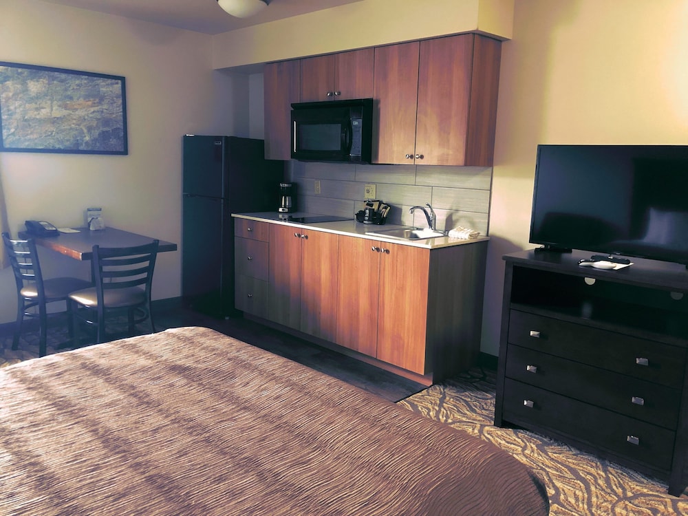 Studio, 1 King Bed, Kitchen