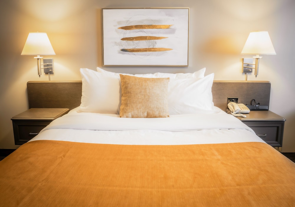 Classic Room, 1 Queen Bed photo 2