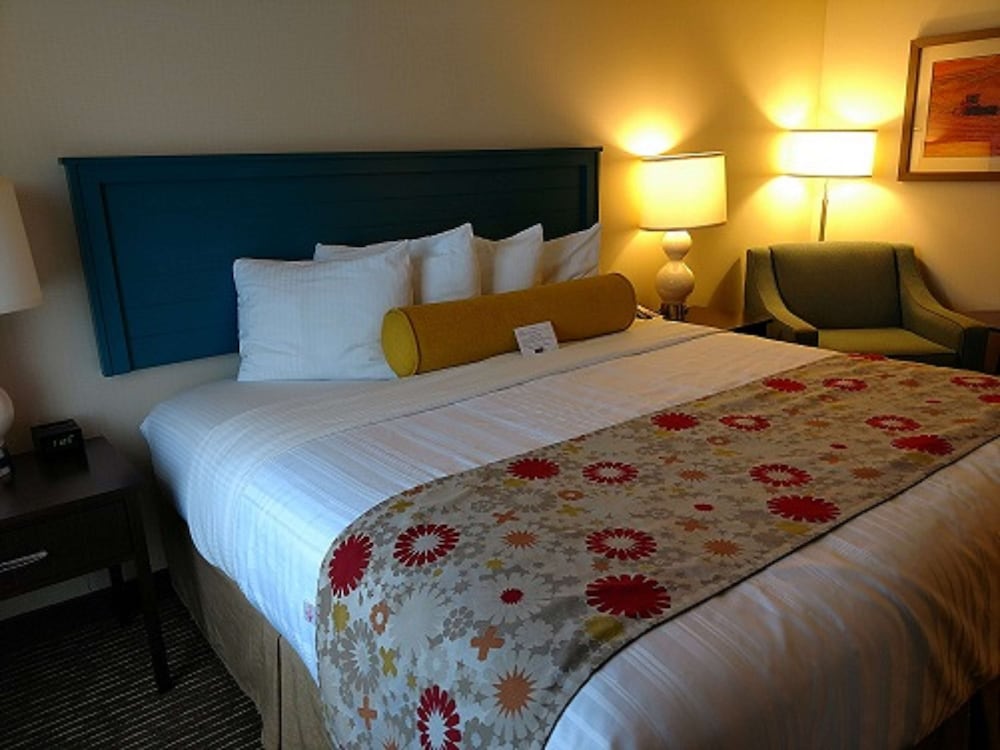 Standard Room, 1 King Bed, Non Smoking, Refrigerator & Microwave photo 1