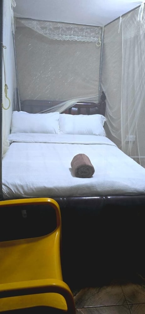Comfort Single Room, Courtyard View