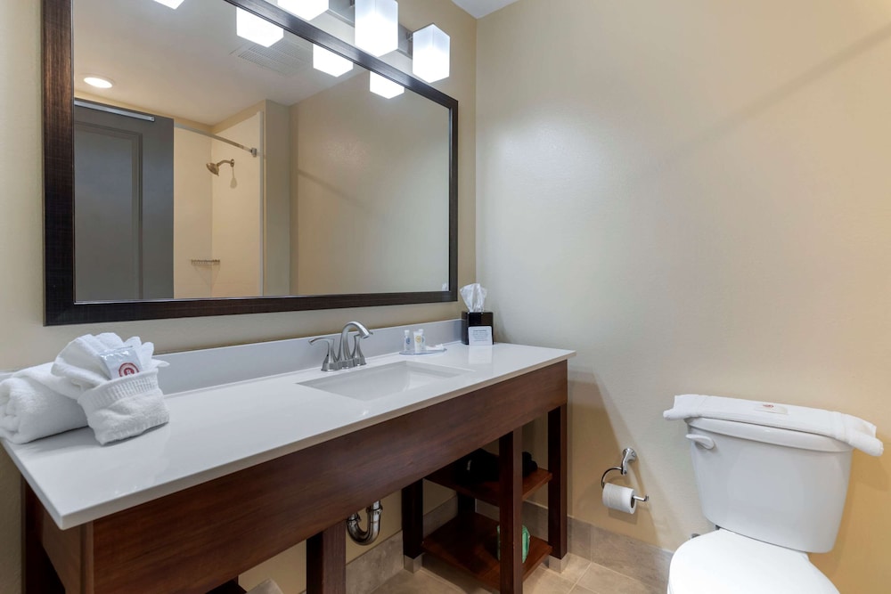 Comfort Inn & Suites East Ellijay, Bilde 2