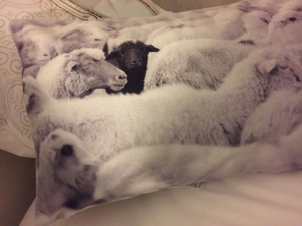 Superior Double Room, 1 Queen Bed photo 2