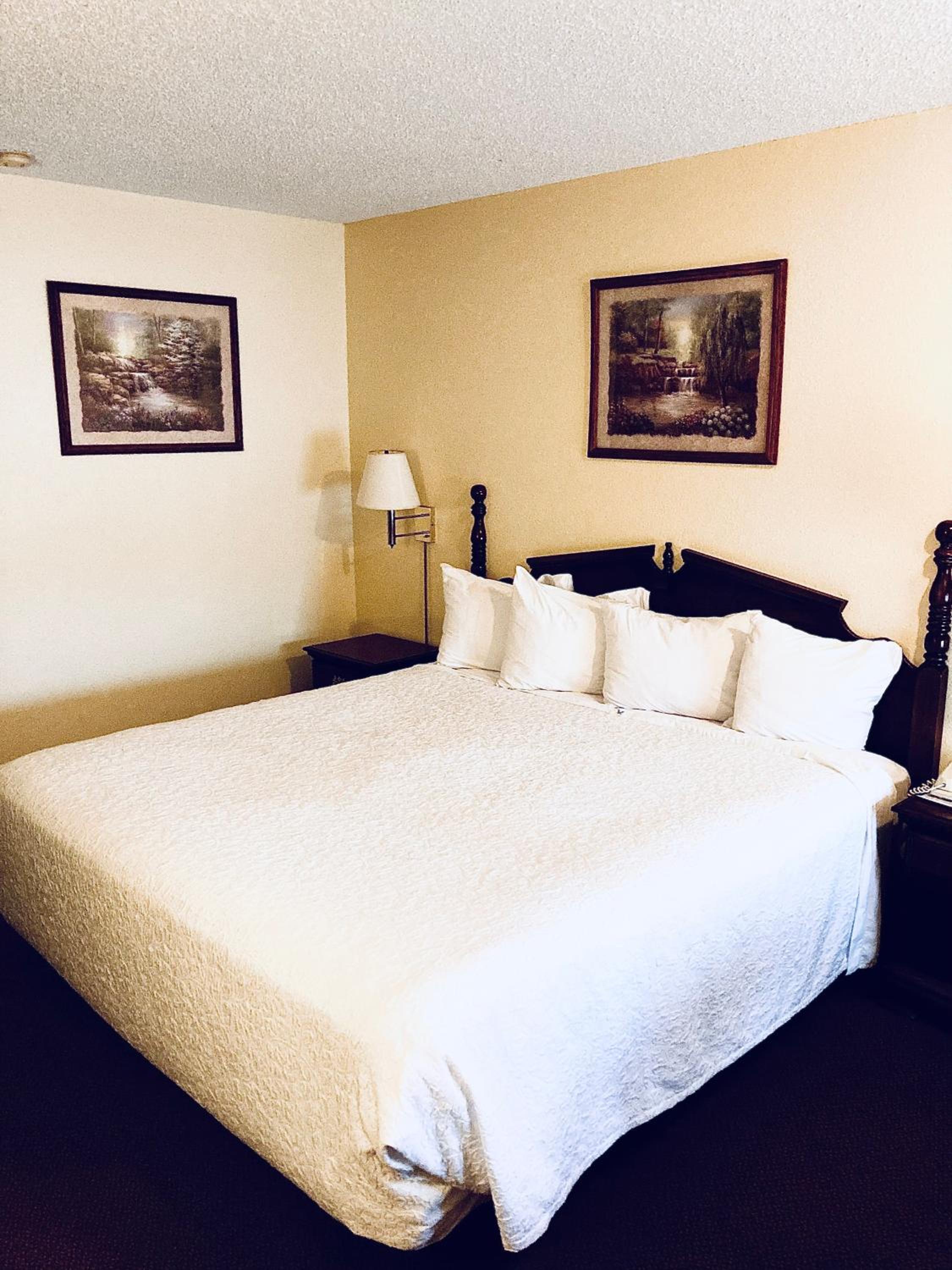 Standard King Room - Photo 17