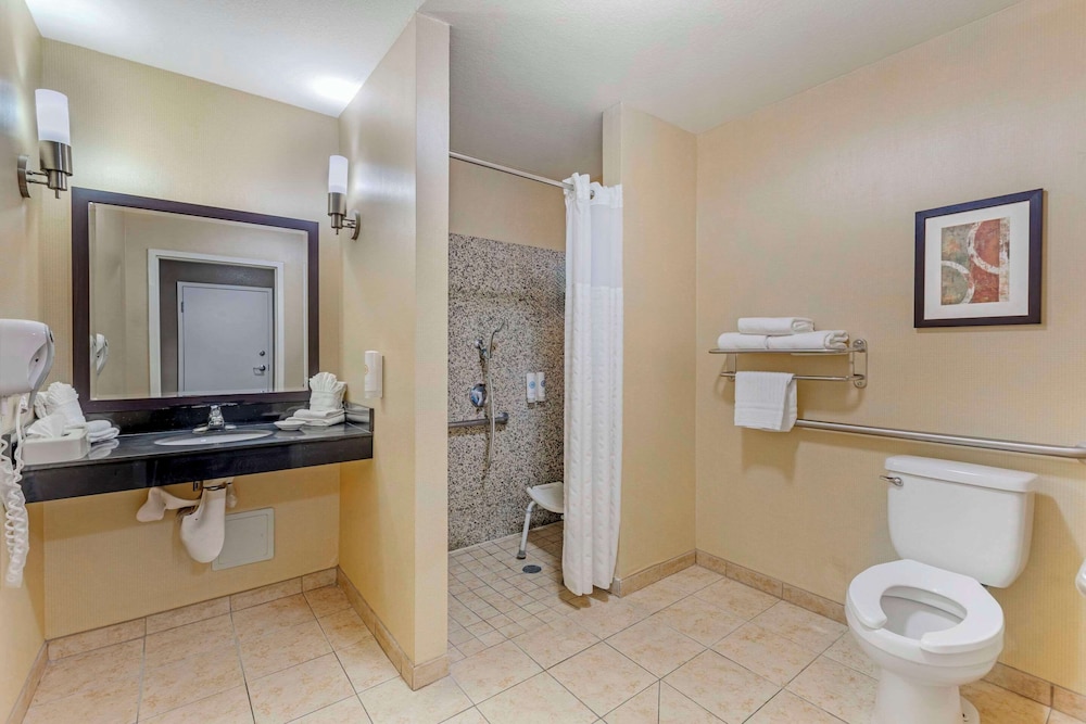 Suite, 1 King Bed, Accessible, Non Smoking (Roll-In Shower) - Photo 4
