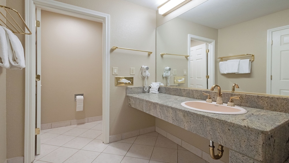 Executive Studio Suite, 1 King Bed, Non Smoking, Kitchen - Photo 14