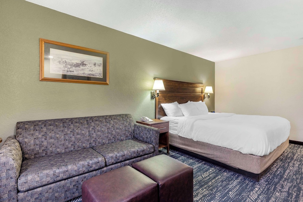 Standard Room, 1 King Bed with Sofa bed