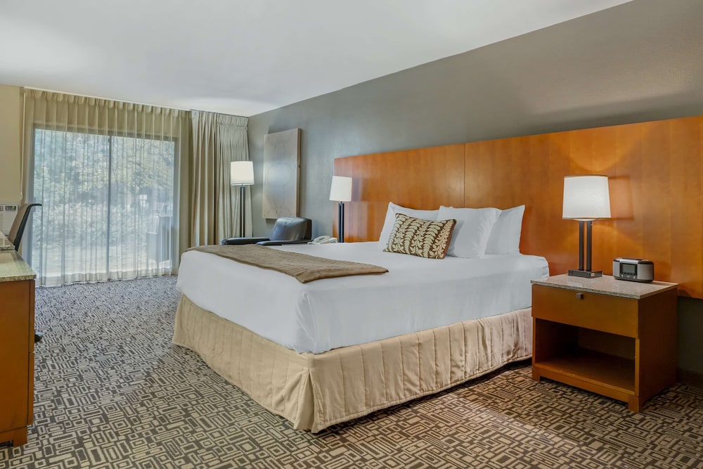 Suite, 2 Queen Beds, Refrigerator & Microwave (with Sofabed) - Photo 2