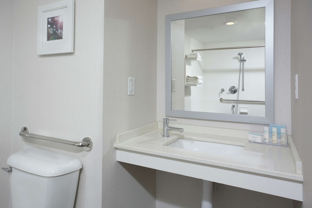 Room, 1 King Bed, Accessible, Refrigerator & Microwave (Bathtub) - Photo 4