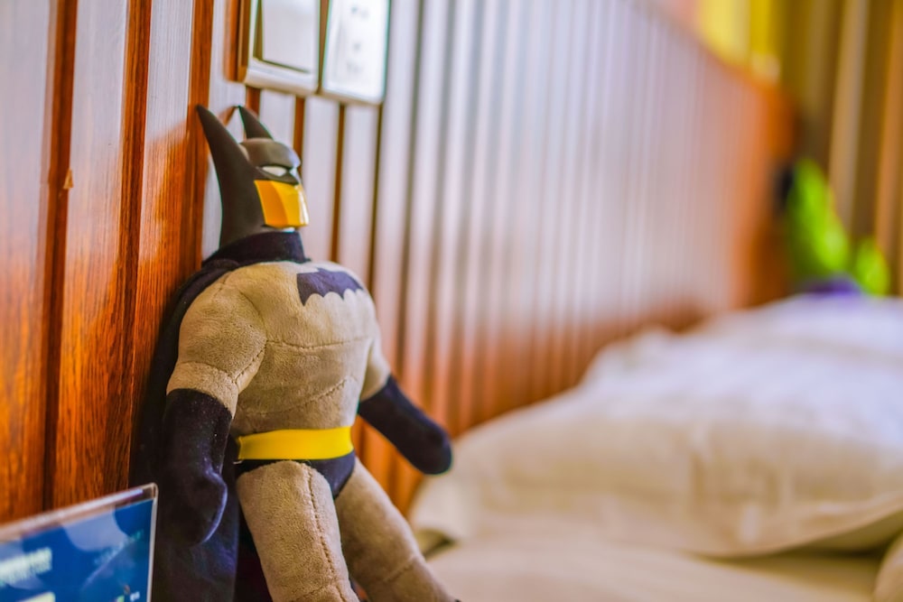 Superior Room photo 3