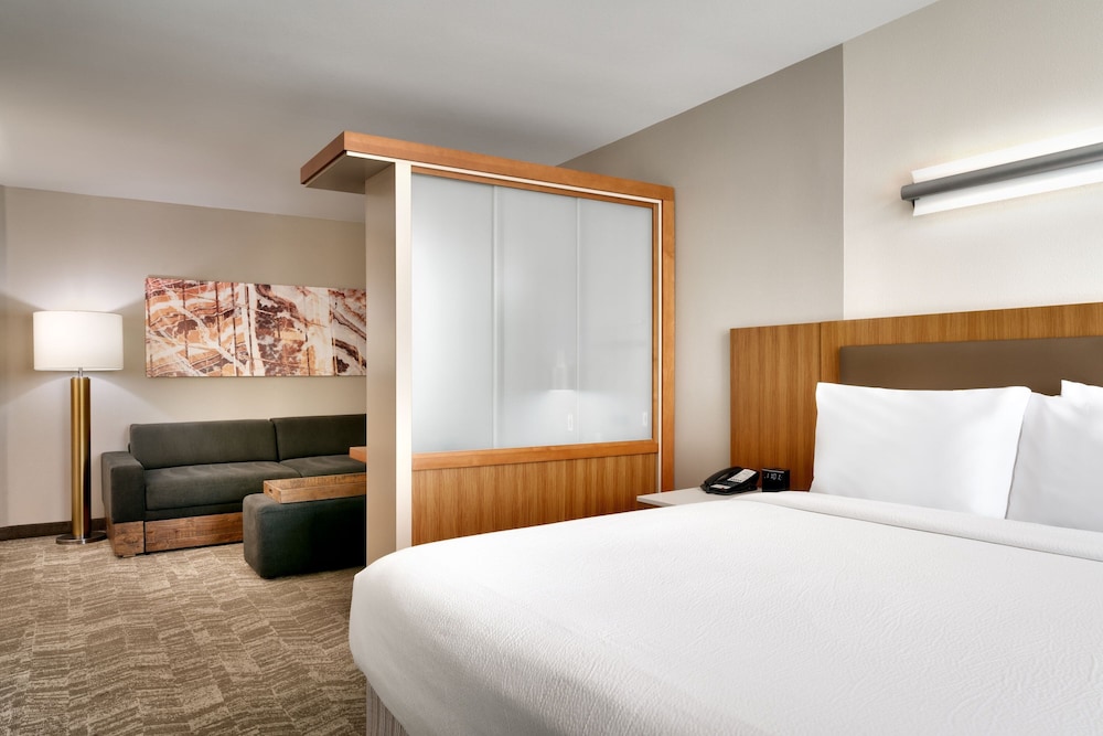 Suite, 1 King Bed - Photo 8