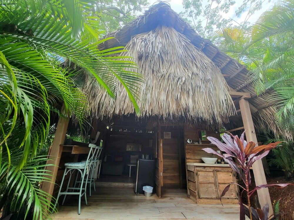 Luxury Cabin, 1 Bedroom photo 3