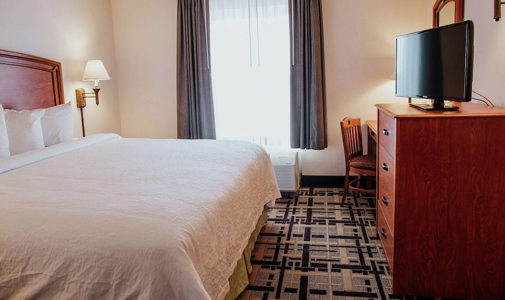 Suite, 1 Bedroom - Photo 2