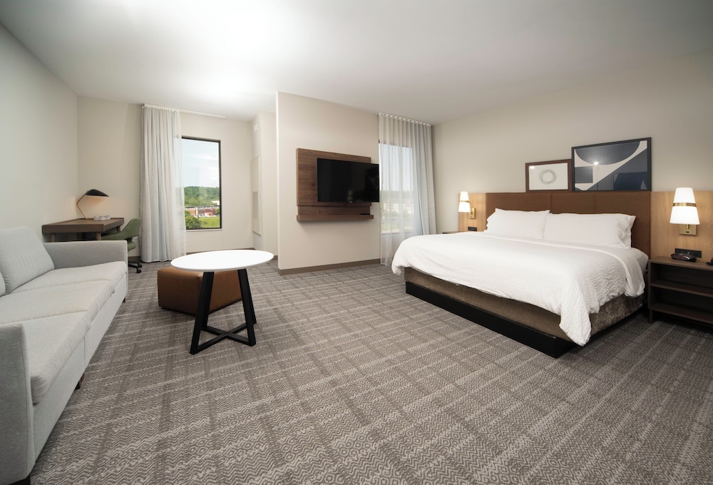 Studio Suite, 1 King Bed - Photo 2