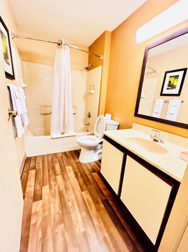 Suite, 1 Queen Bed, Accessible, Non Smoking (Efficiency) - Photo 12
