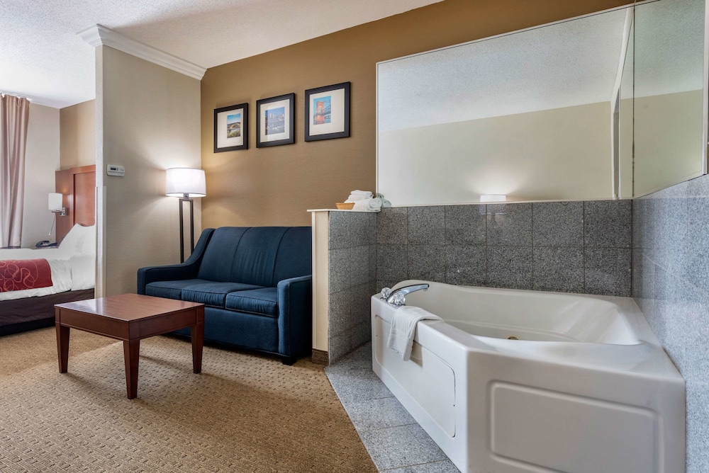 Studio Suite, 1 King Bed With Sofa Bed, Non Smoking photo 2