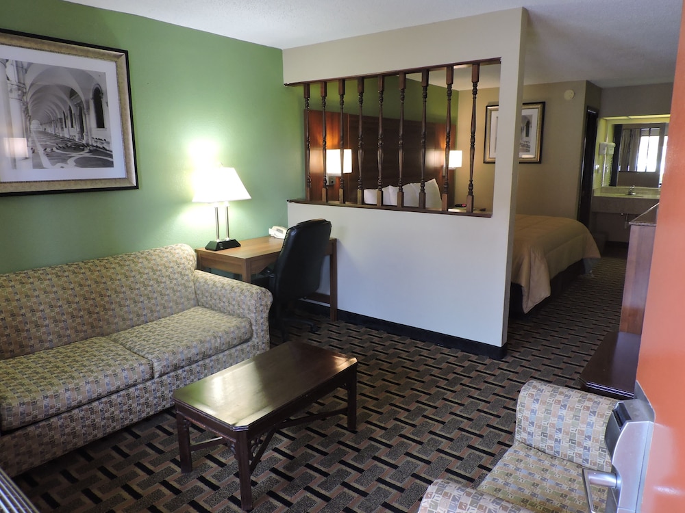 Suite, 1 King Bed with Sofa bed, Non Smoking, Refrigerator & Microwave - Photo 4