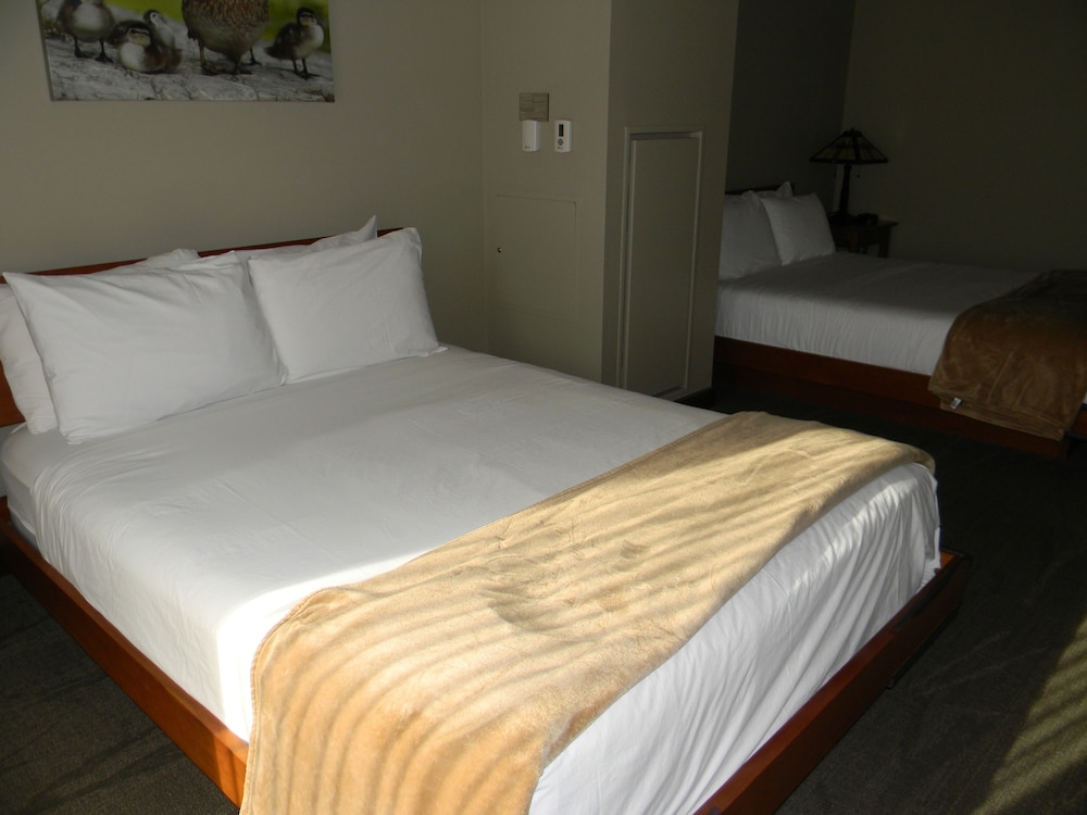 Room, 2 Queen Beds photo 2