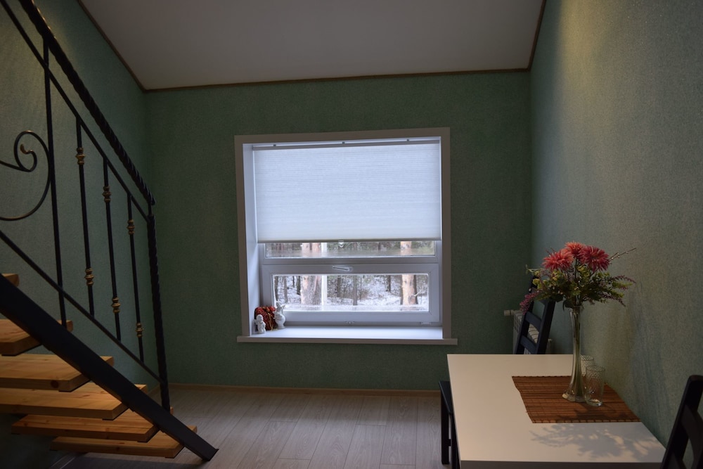 Apartment, 1 Double Bed with Sofa bed photo 2