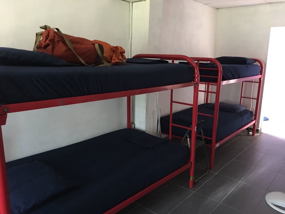 Shared Dormitory, Multiple Beds