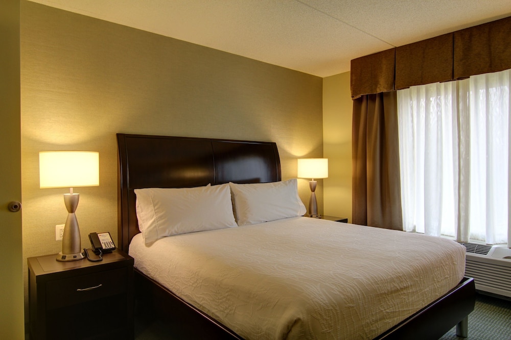 Suite, 1 King Bed, Accessible (Mobility/Hearing, Roll-In Shower) photo 2