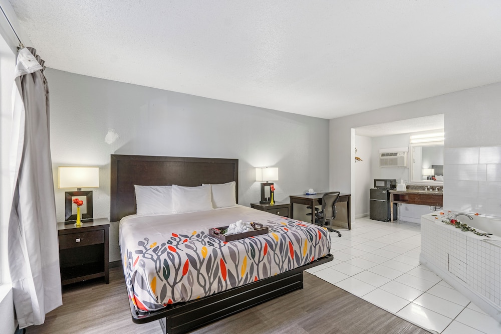 Luxury Single Room photo 1