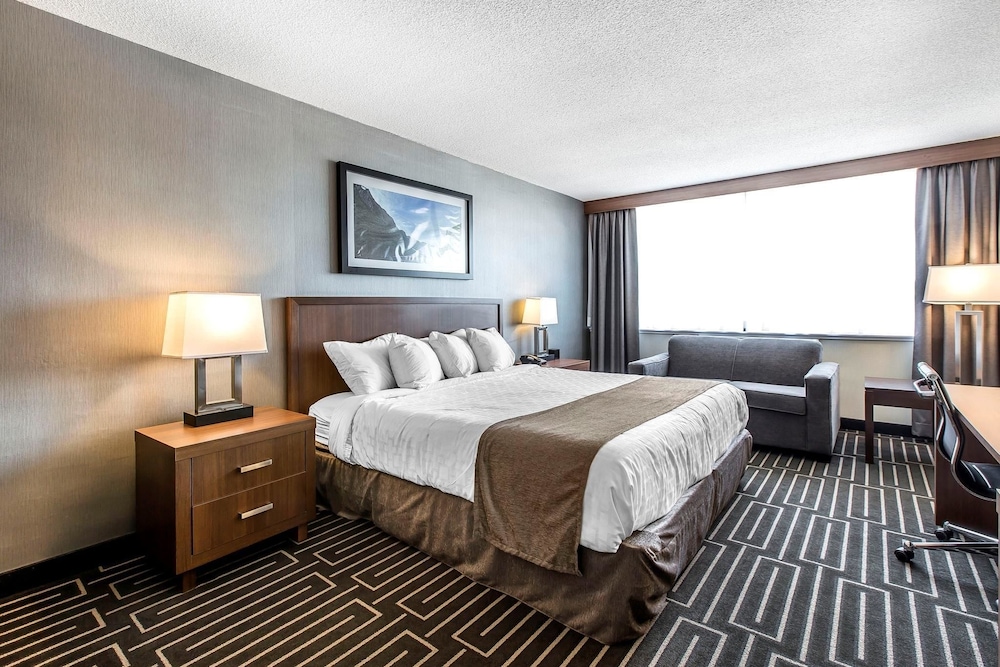 Standard Room, 1 King Bed, City View photo 3