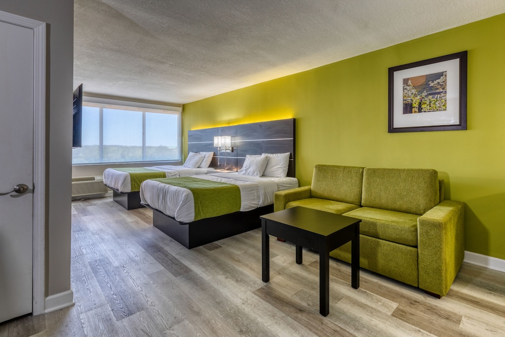 Grand Studio Suite, Multiple Beds, Non Smoking, Refrigerator & Microwave photo 1