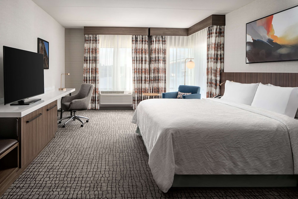 Room, 1 King Bed, Accessible (Roll-In Shower) - Photo 1