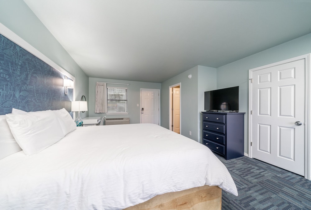 Studio Suite, 1 King Bed, Lake View photo 3
