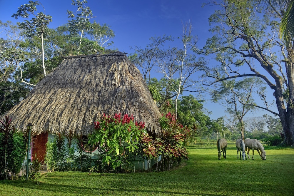 Traditional Cabin, 2 Bedrooms, Non Smoking, Garden View photo 3
