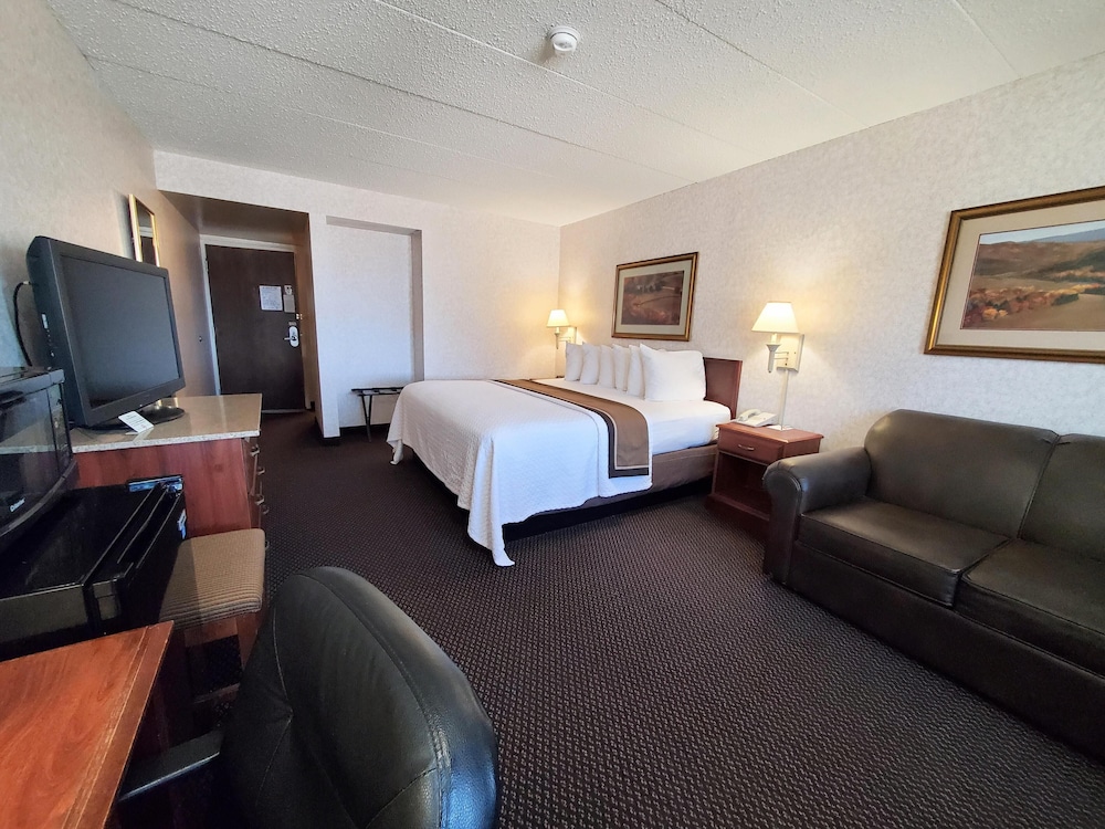 Room, 1 King Bed photo 1