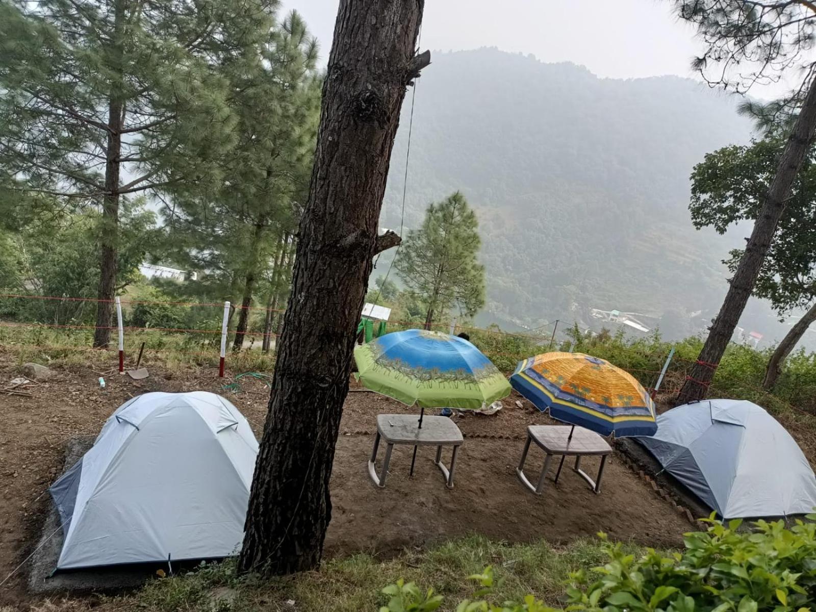 Tent photo 2